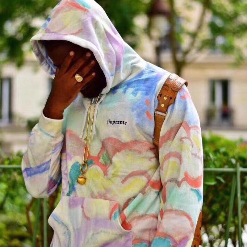 supreme landscape hoodie