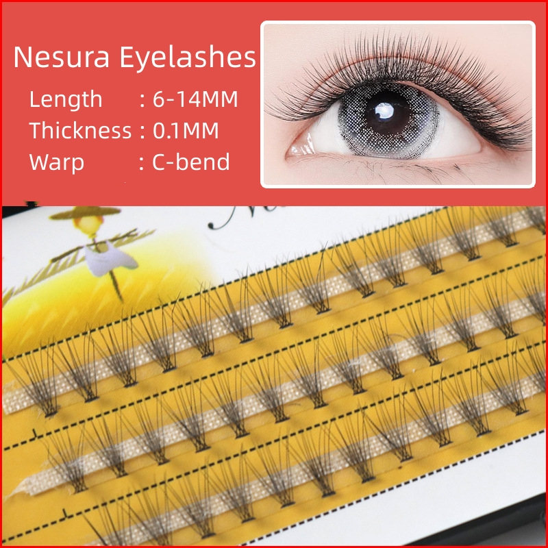 Nesura 10D Deep Black Russia Volume Grafting lashes False Eyelash individual Eyelash 60 pcs 6mm to 14mm