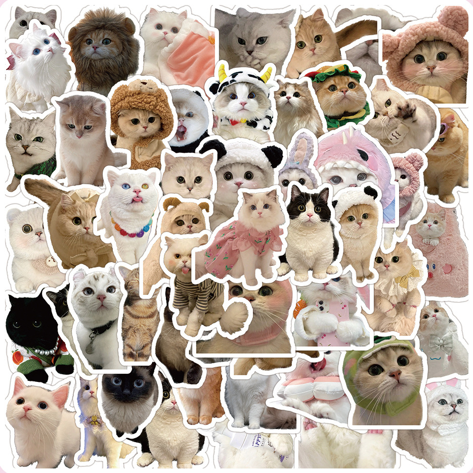 60PCS Cute Kittens Cats MEME Waterproof Stickers For Notebook Laptop Helmet Decal
