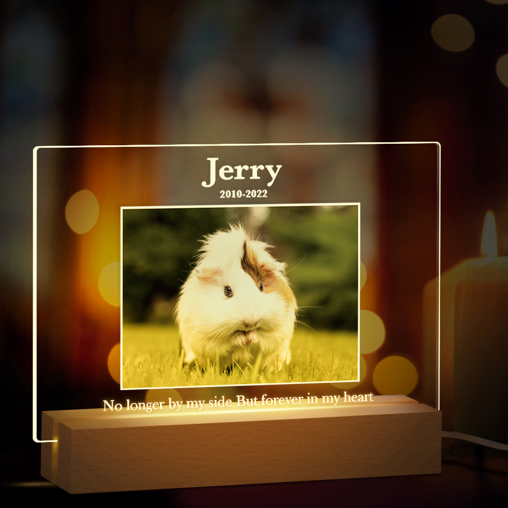 Party to Be Personalized Dog Memorial Gifts for Loss of Dog, Pet Memorial Gifts for Dog Cat, Personalized Night Light Dog Memorial Photo Plaque (F - All Pets)