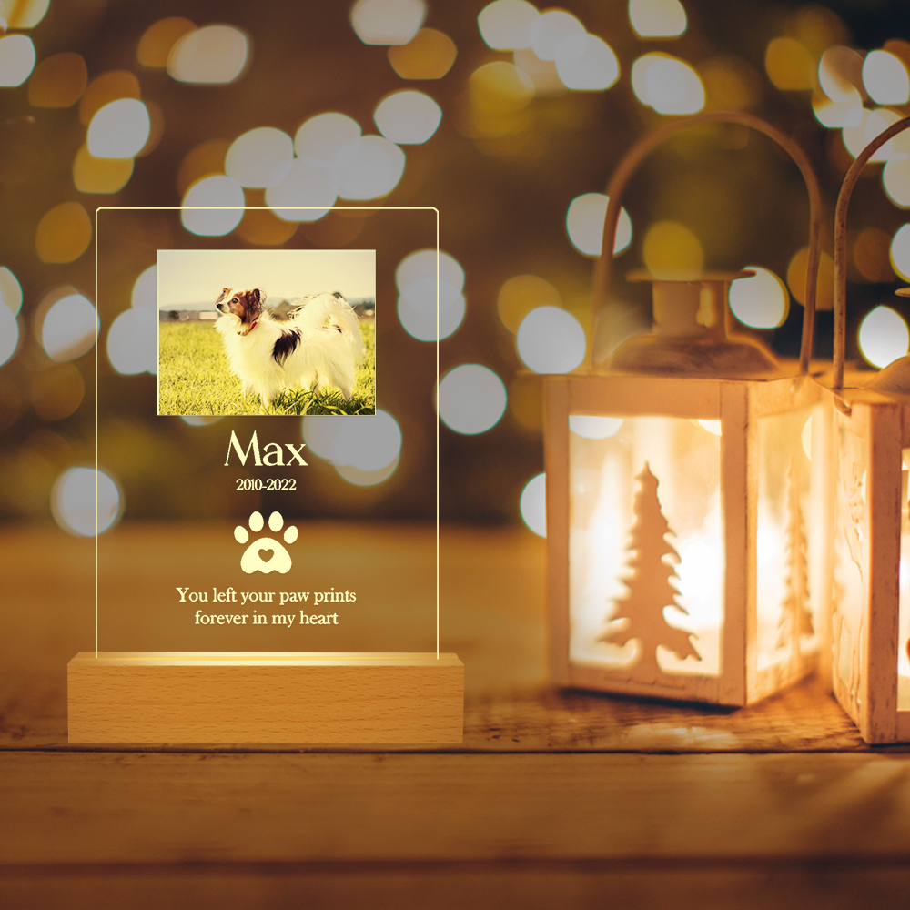 Custom Personalized Acrylic Photo Plaque Pet Memorial Gifts for Loss of Dog Pet with Night Light Base, Customize Name Date Photo, Option B