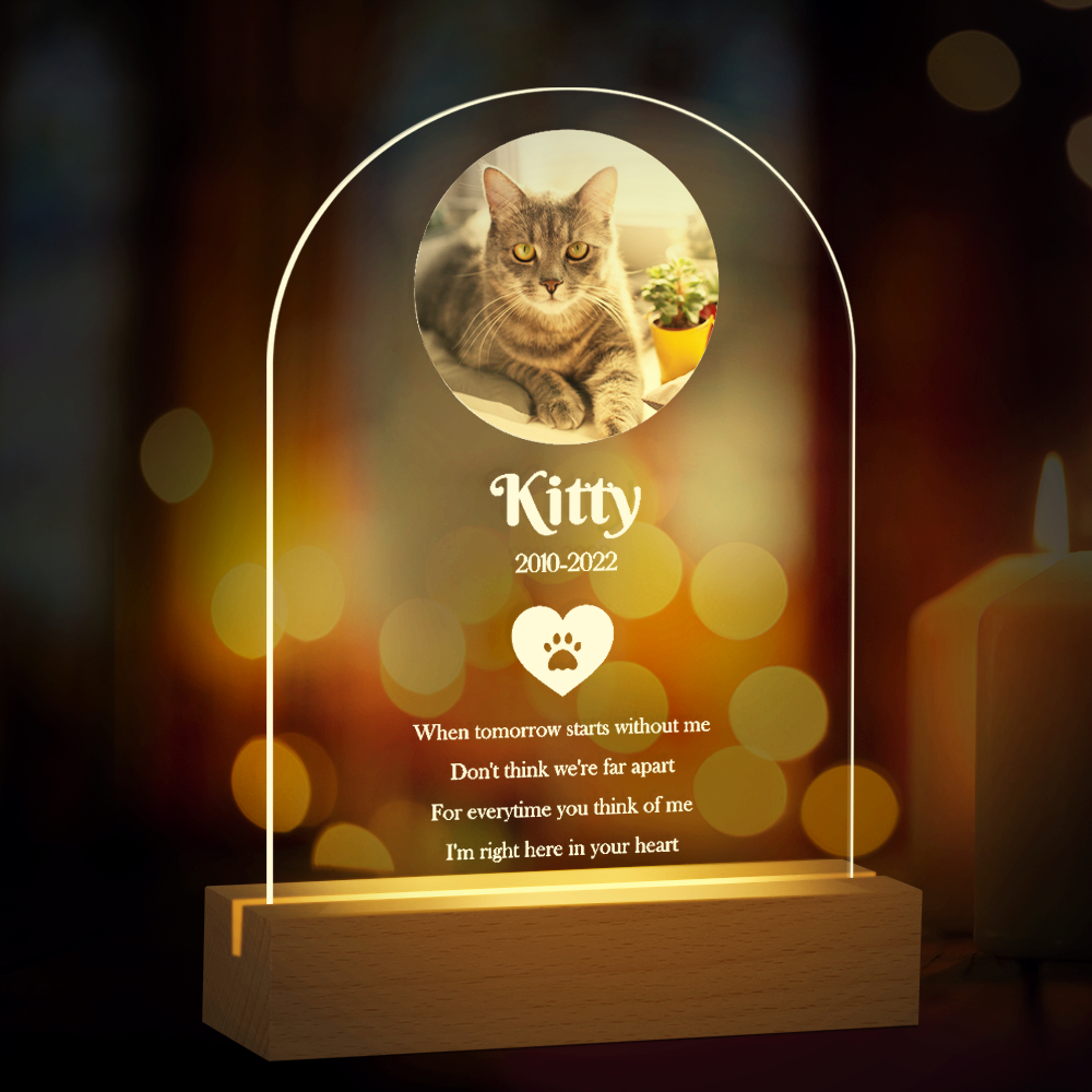 Custom Personalized Acrylic Photo Plaque Pet Memorial Gifts for Loss of Dog Pet with Night Light Base, Customize Name Date Photo, Option C