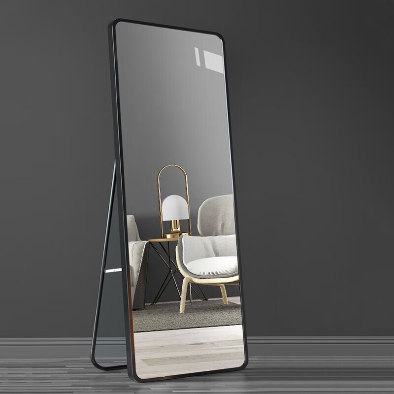 Nordic Standing Long Mirror  Home decor Full-length