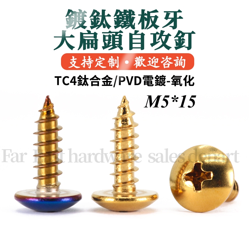 1 SET 304 Stainless Steel Large Flat Head Self Tapping Screw M5 16MM GOLD TITANIUM BLUE UNIVERSAL BODY COVER SET SCREW SKRU YAMAHA HONDA Y125 125Z 125ZR LC135