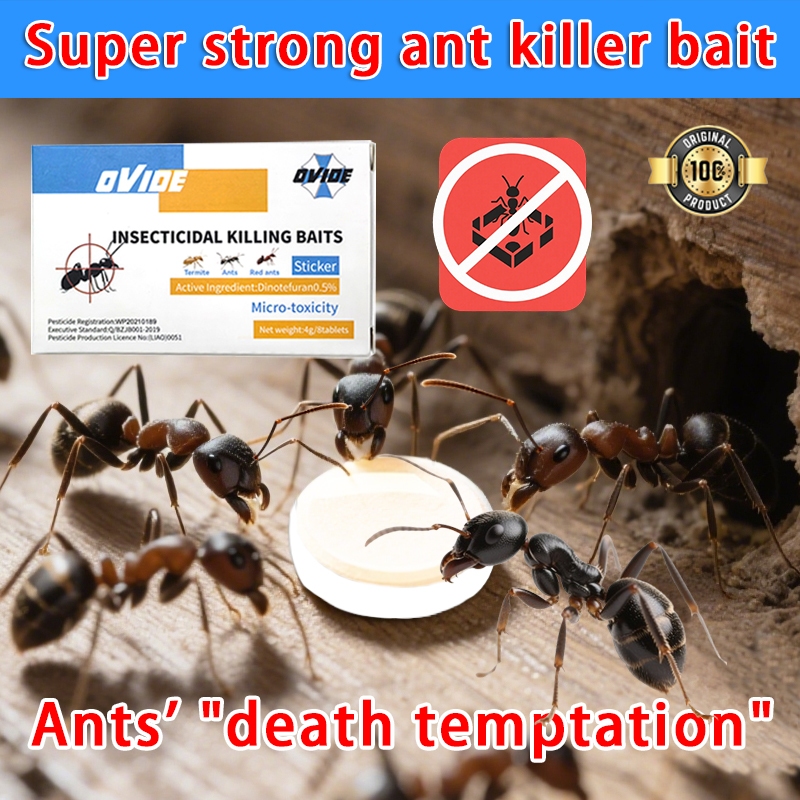 2025 New version Ant medicine LMM Ant bait  Ant Killer  Racun semut ubat semut Ants have nowhere to hide Semut racun Ant killer bait 螞蟻藥 蚂蚁药