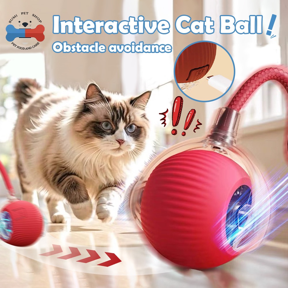 Interactive Cat Toy Ball Rechargeable Automatic Moving Electric Cat Dog Toys Rolling Ball 猫玩具球