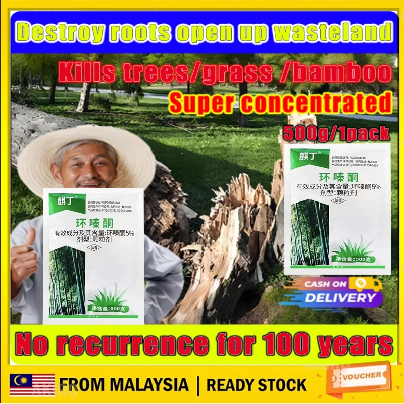 Racun Tabur Rumput Weed Control 【Strong destructive power】Effective weed control Removing big trees and bamboo kua