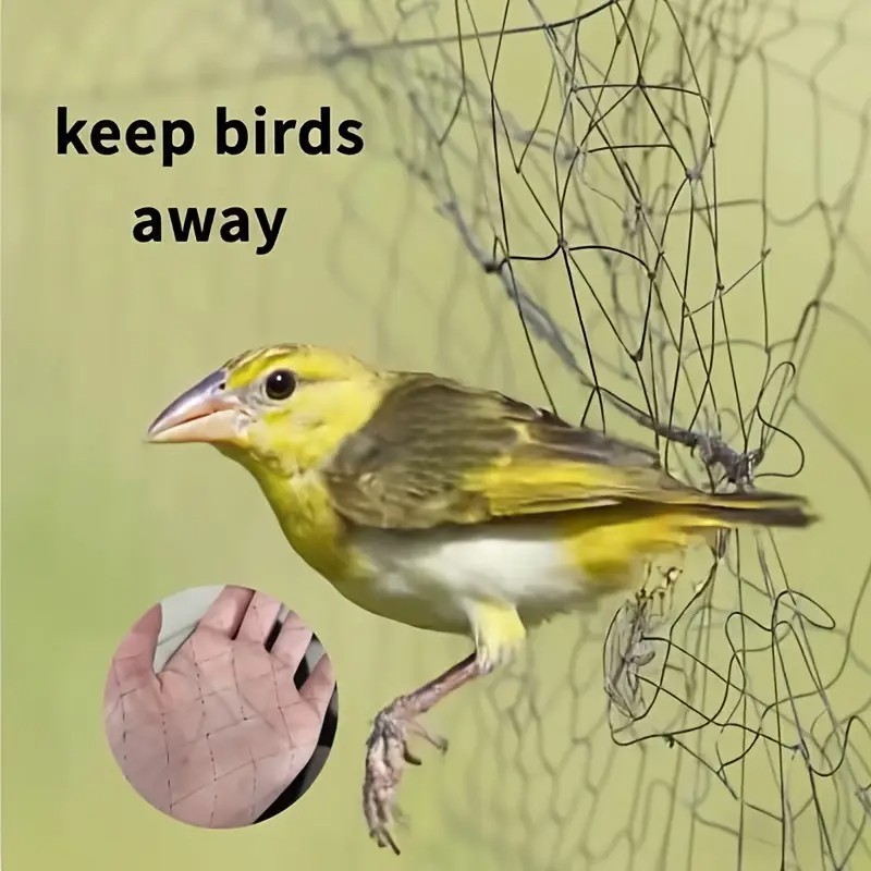 Anti-bird Nylon Net For Orchards, Airports, Bird Traps, Crops, Fruit Trees, For Garden Pest Control And Tree Fruit Protection