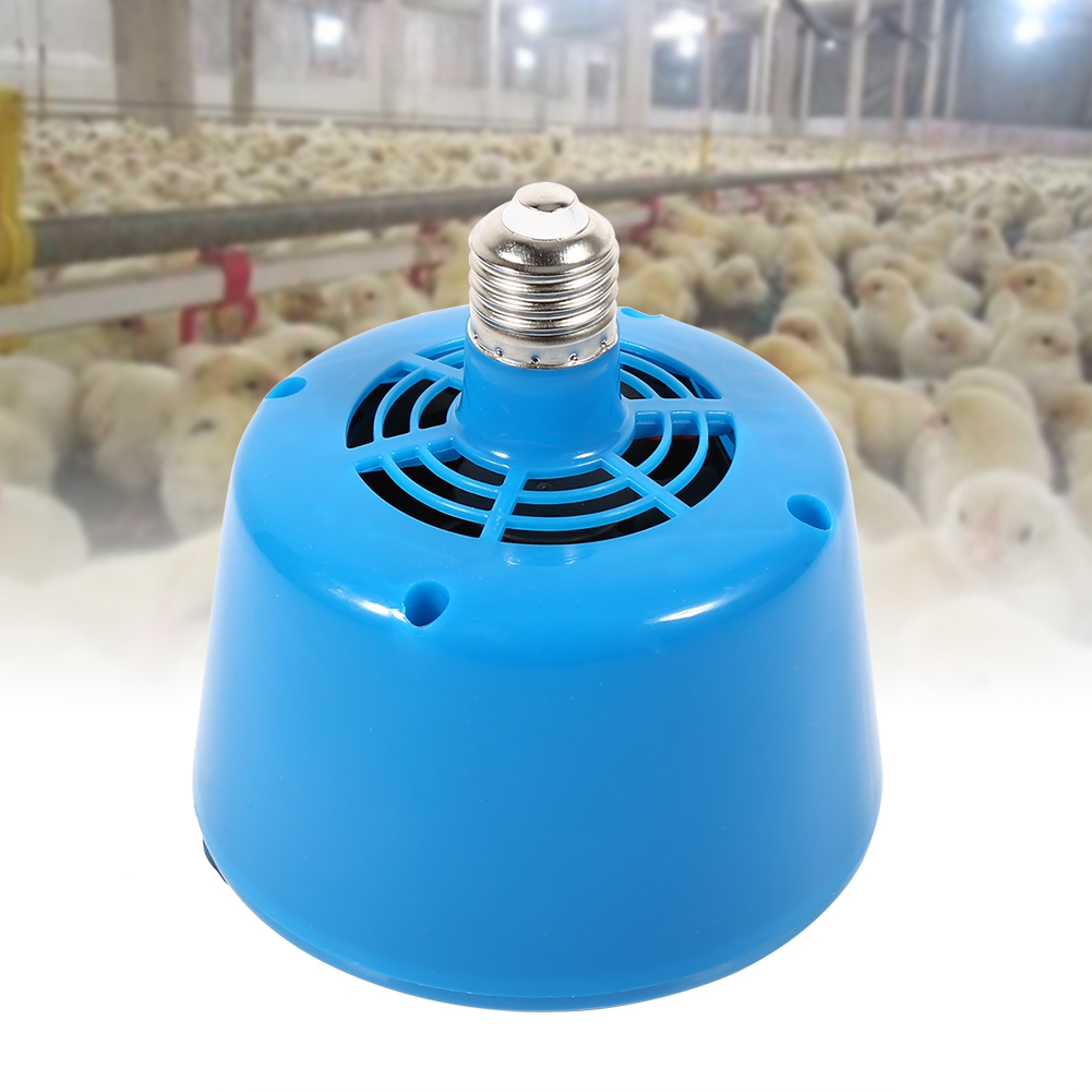 What Temperature Do You Need A Heat Lamp For Chickens