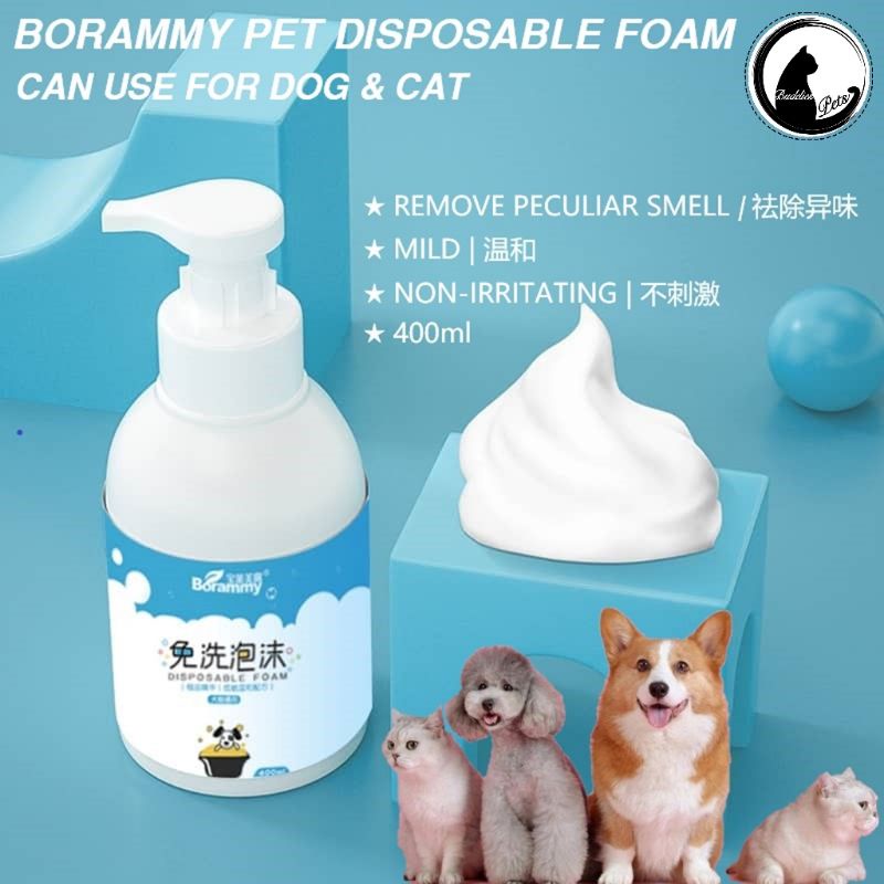 Can You Wash Kittens With Dog Shampoo