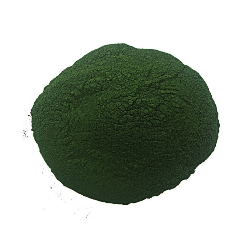 SPIRULINA PREMIUM GRADE 20gMAKANAN KUTU AIR DAPHNIA MAGNA MOINA FRY ANAK IKAN LAGA BETTA FISH GUPPY TETRA
