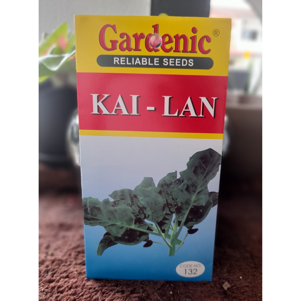 Kai Lan Seeds Benih Sayur Kai Lan Shopee Malaysia