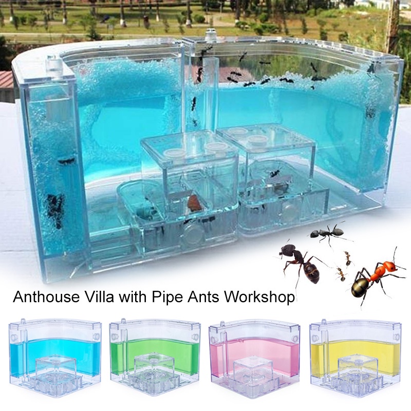 Ant Farm House Castle Insect Terrarium Color Nursery Box Model Educational Toy 