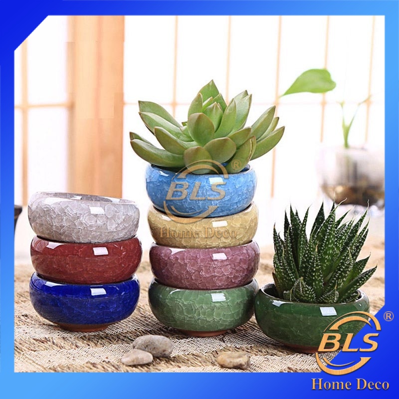 Buy Ice Crack Glaze Succulent Flower Pot Porcelain Mini Pots Home And Garden Decoration 七彩冰裂多肉植物迷你花盆 Seetracker Malaysia