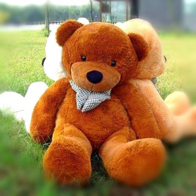 teddy bear besar murah