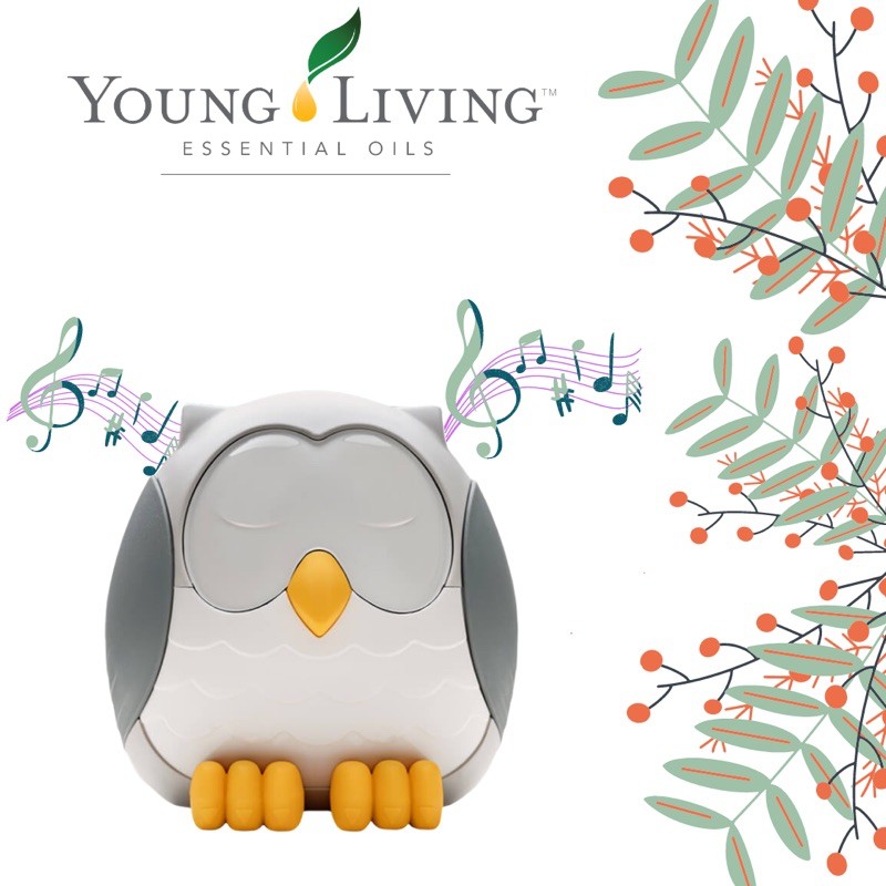 Ready Stock Young Living Feather The Owl Diffuser Shopee Malaysia