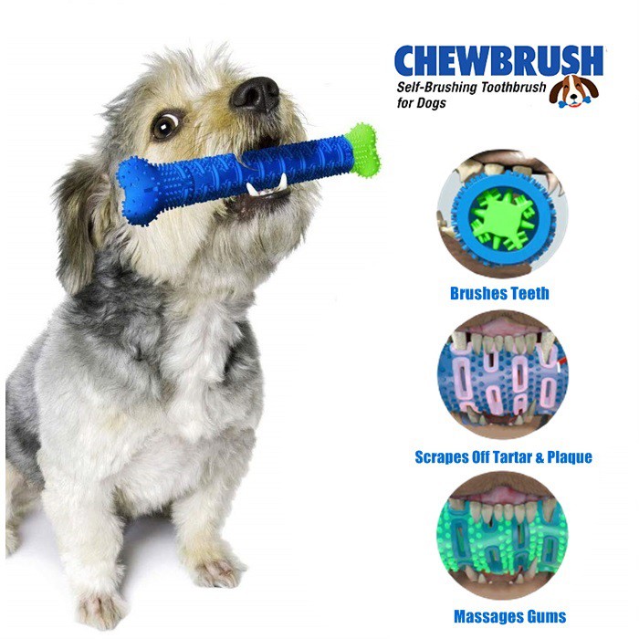 self brushing toothbrush for dogs