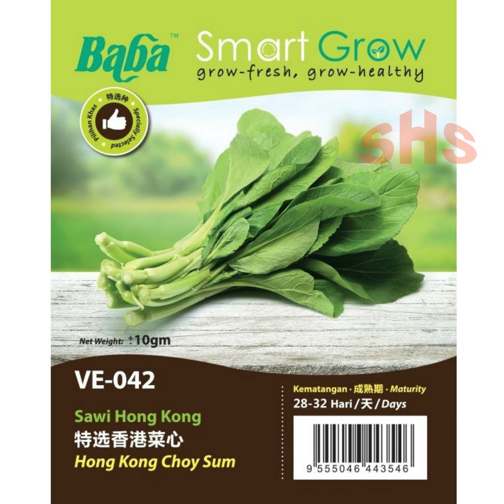 Baba Sawi Seeds Japanese Sawi (Komatsuna) White Stem Choy Sum Hong 