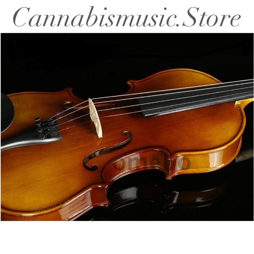 Violin Omebo Size 4/4 RV205 (Original Wood Sam RV205 Violin 44