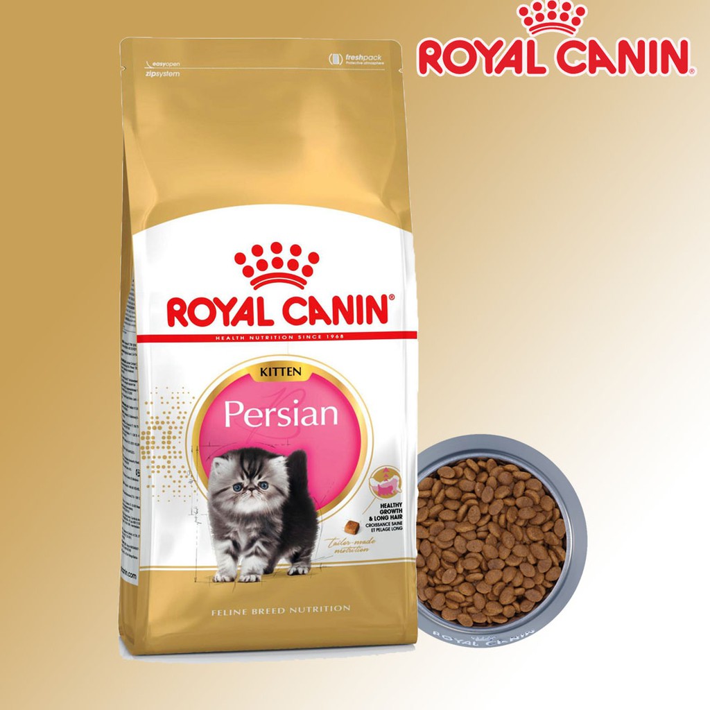 royal canin persian kitten dry food