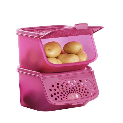 Tupperware Garlic n All Keeper (2pcs) 2.3L AAky