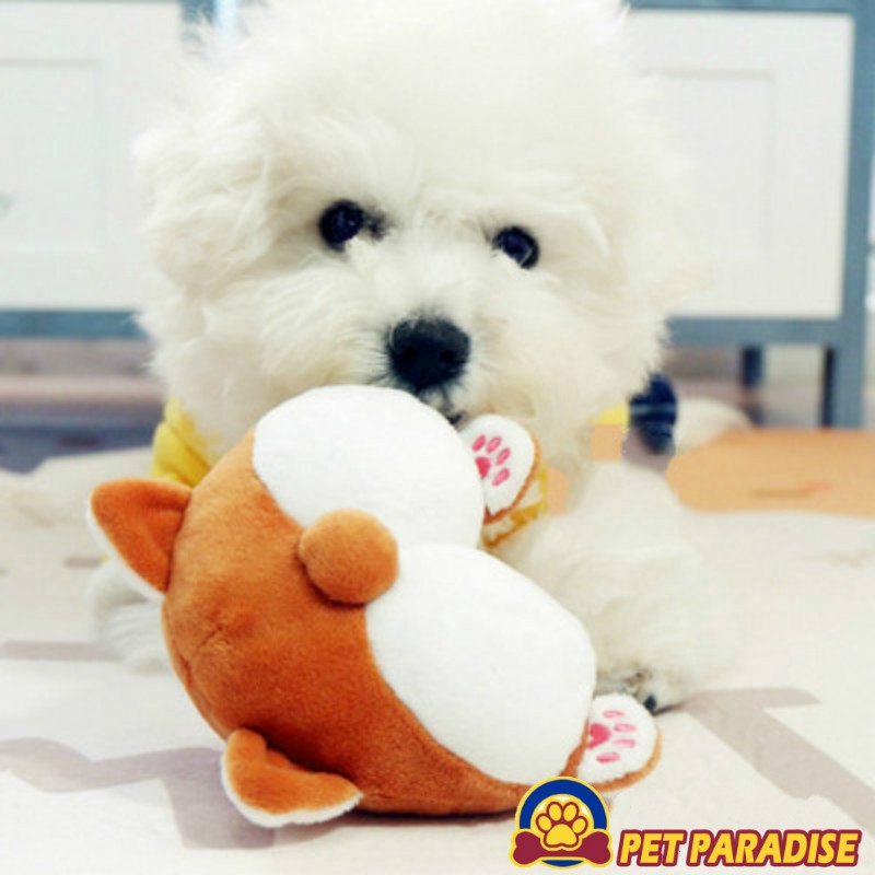 plush paradise dog