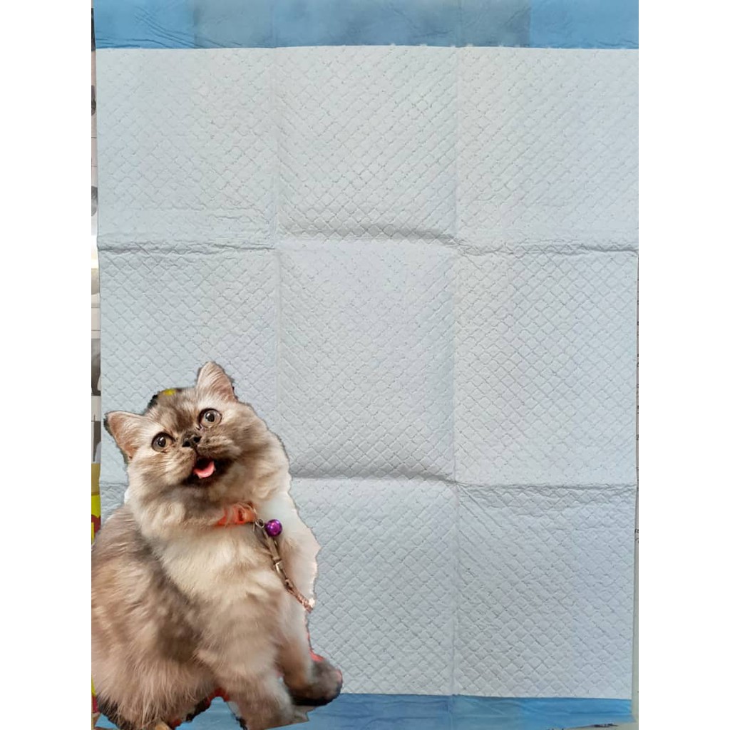 Pee Sheet Super Absorbent, Pee Pad Pet Sheet Canines Language (5 sheets