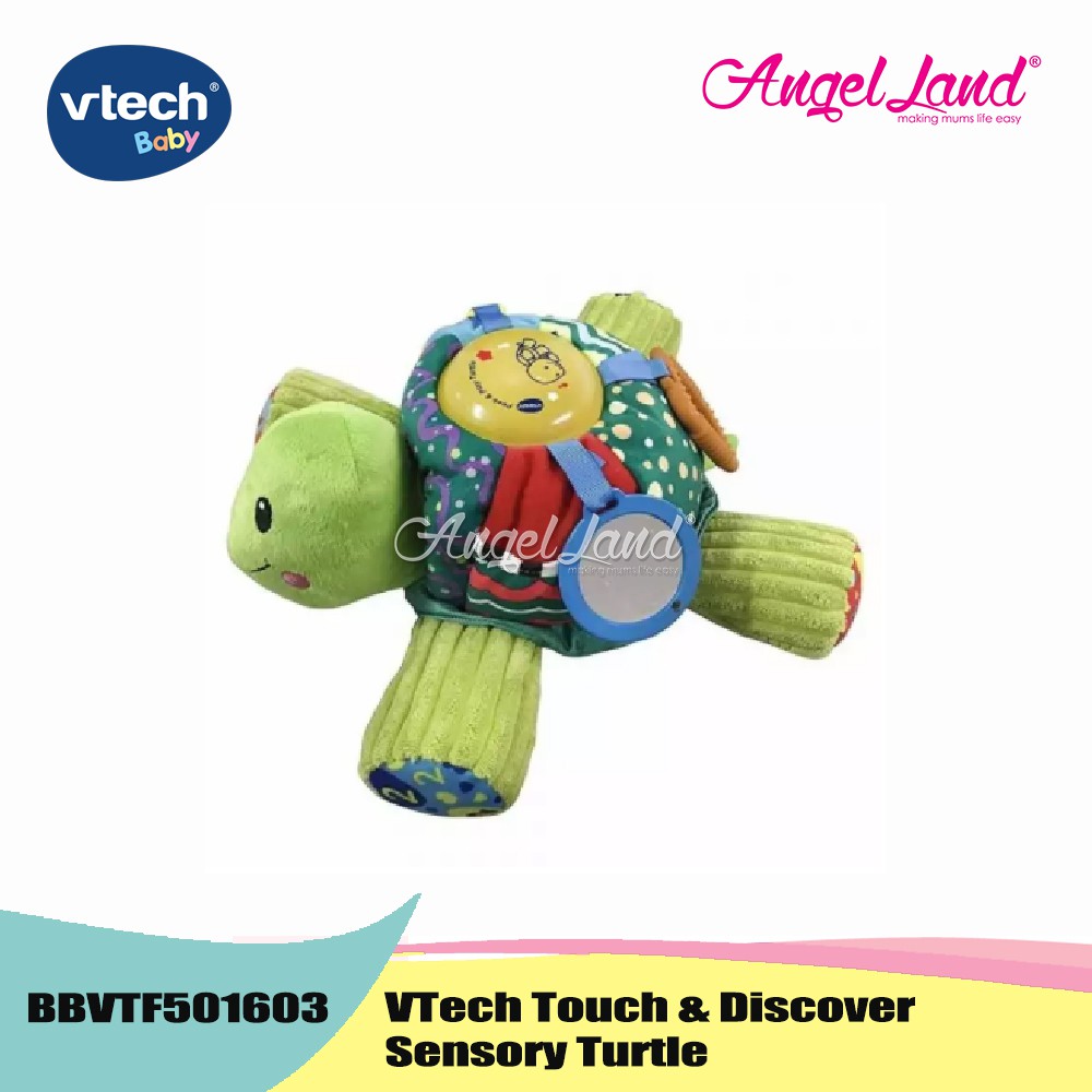 vtech touch and discover sensory turtle