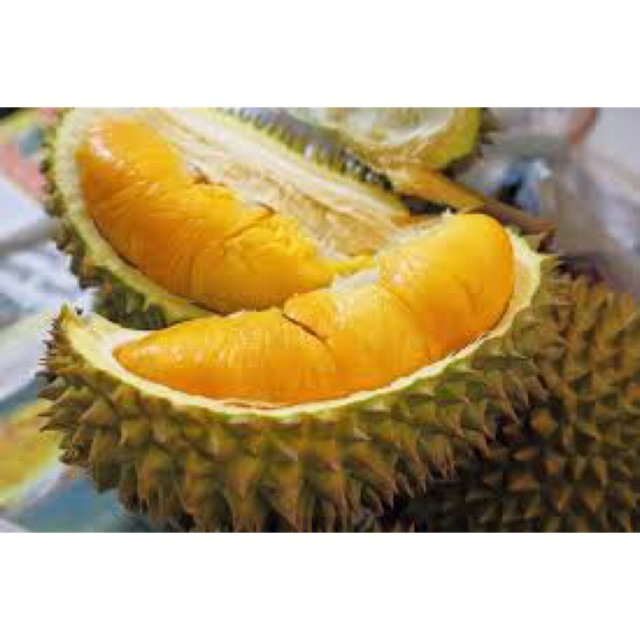 Durian Monthong Hybrid Durian Bantal Emas Shopee Malaysia