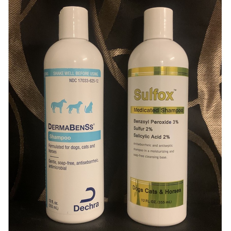 dechra shampoo for dogs