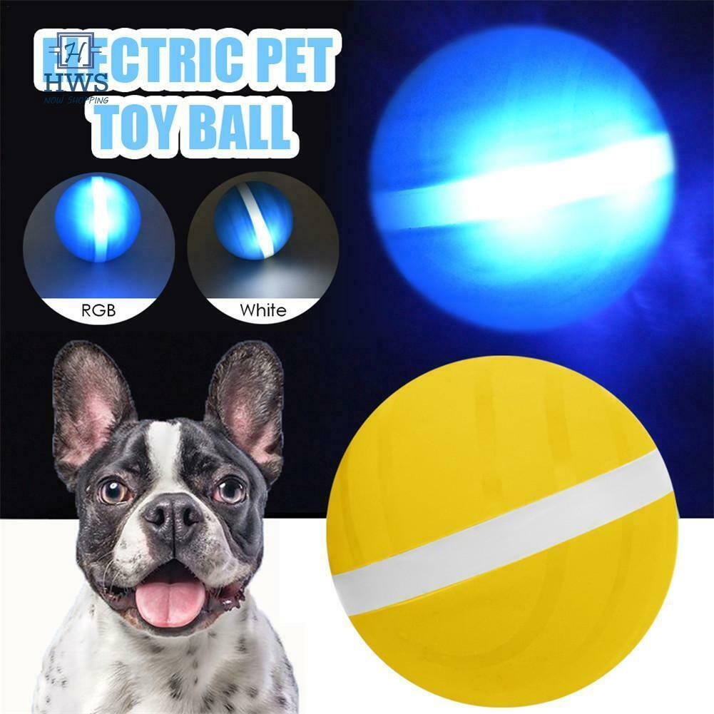 magic ball for dogs