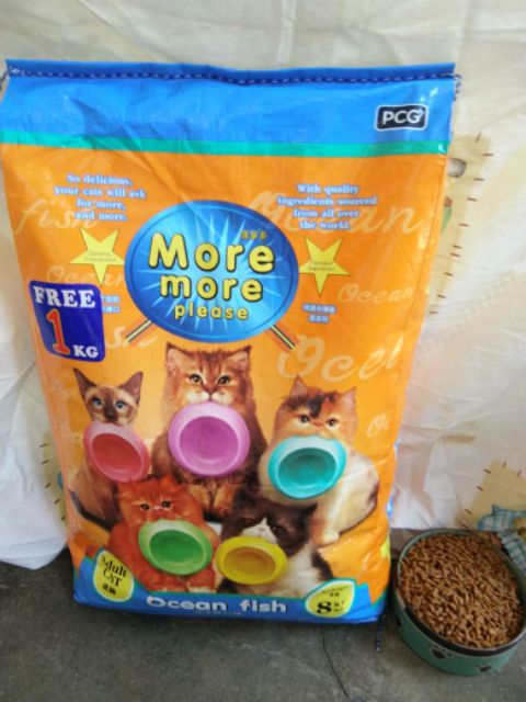 more more cat food