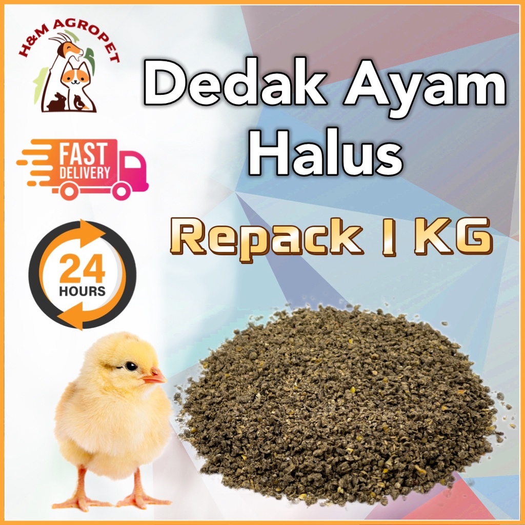 1KG Dedak Anak Ayam Makanan Ayam Kampung Burung Halus Chicken Feed High Protein 小鸡饲料