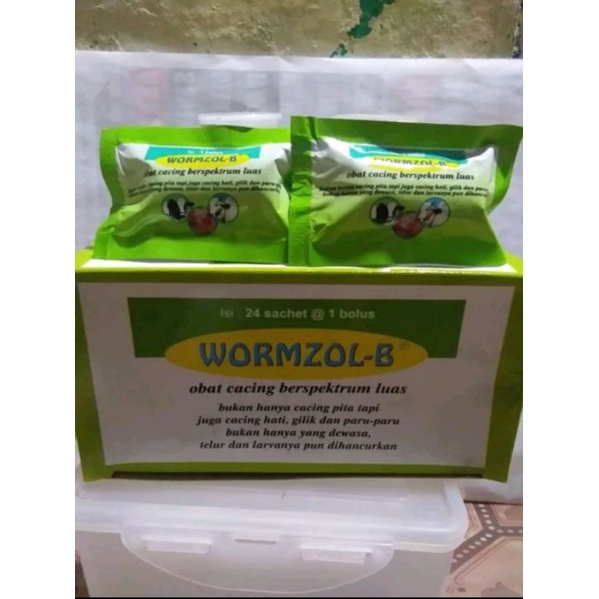 Wormzol B 1 KAPLET | Shopee Malaysia