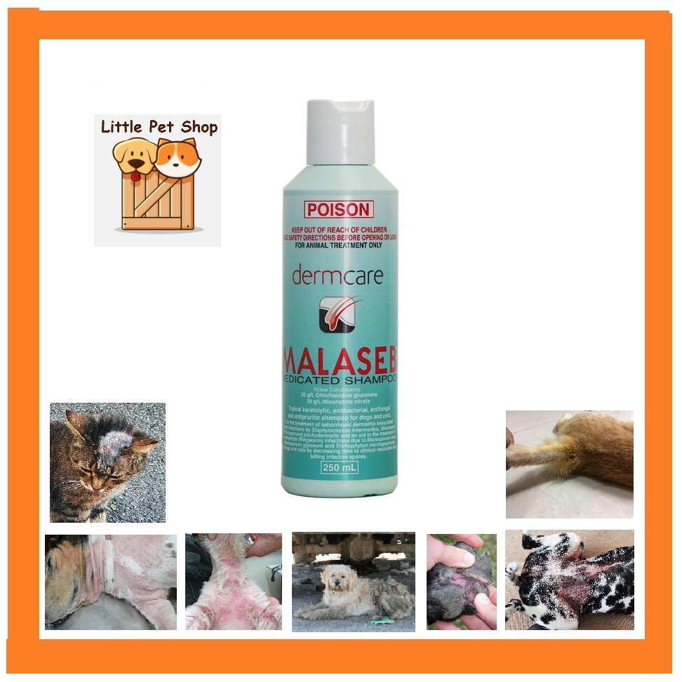 Malaseb medicated Shampoo pet dog cat Anti Fungal Antibacterial 