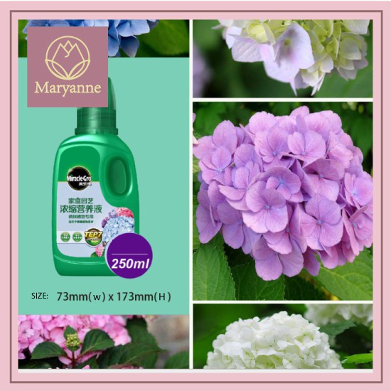 MiraclegRo 250ml Hydrangea Plant nutrient solution [Ready Stock