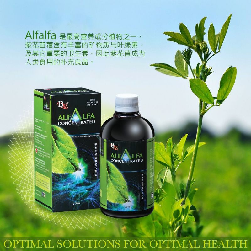 Bio Velocity Alfalfa Concentrated 能量浓缩紫花苜蓿叶绿素液 竹盐喝的一小包 Shopee Malaysia