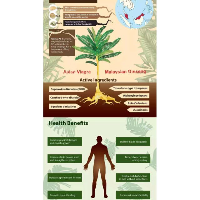 Health] Ubat traditional untuk bantuan kesihatan seksual  Shopee 