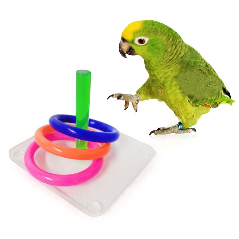 bird puzzle toys