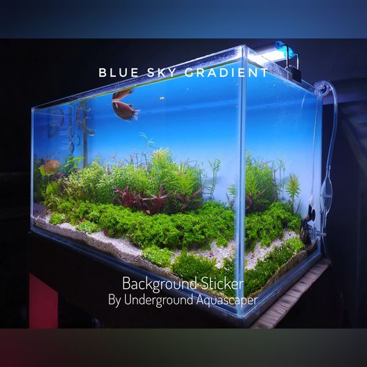 Background Sticker / Film for Aquarium Aquascape Tank Not Transparent