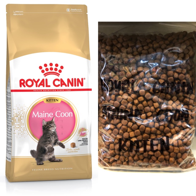 royal canin maine coon kitten dry food