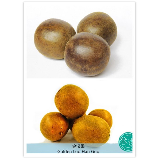 Golden Monk Fruit 金汉果黄金罗汉果罗汉果化痰止咳