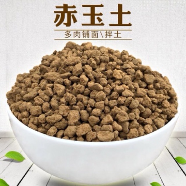 Akadama 赤玉土 400g Pack Succulent Cactus Shopee Malaysia