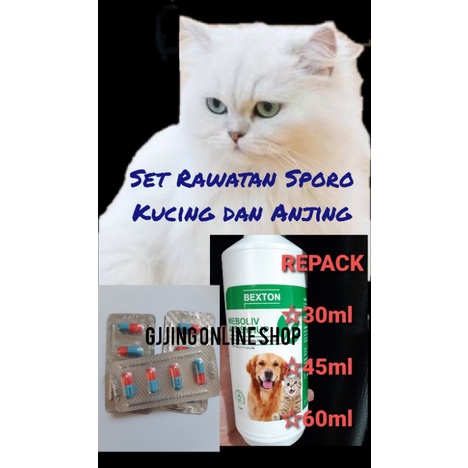 Ubat Rawatan Sporo kucing DAN anjing