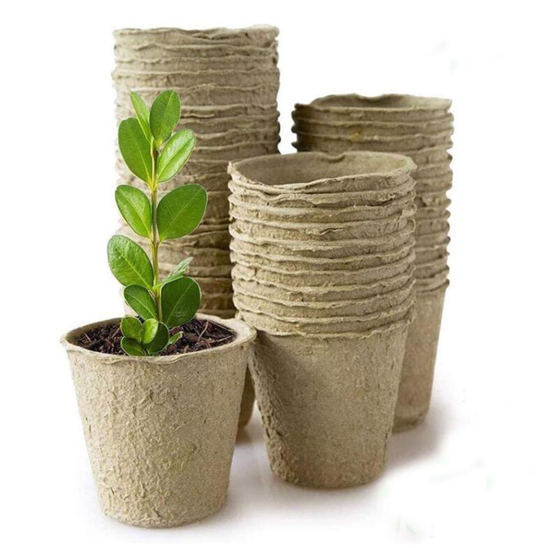 30pcs Paper Grow Pot Nursery Cup growing pot box Tray Seed veg planter Plant Starter Flower Herb Biodegradable Eco-Friendly