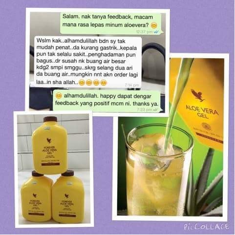 Original Forever Living Aloe Vera Gel Buang Toksin Kolestrol Darah Tinggi Diabetes Gout Kanser Usus Shopee Malaysia