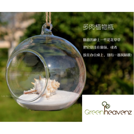 Micro Landscape Ecological Bottle Hanging Glass Pot Succulent Plant 微景观生态瓶 悬挂玻璃花瓶 多肉植物花瓶