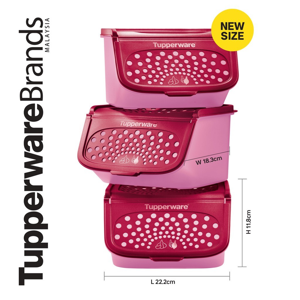 Tupperware Garlic N All Keeper (1) 2.3L Shopee Malaysia