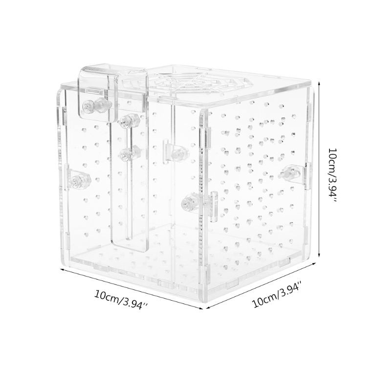 1# shaoyanger Acrylic Aquarium Fish Breeding Isolation Box with Sucker for Baby Fish Hatchery Incubator Cage 