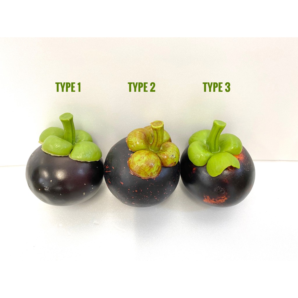 Lifesized Artificial Mangosteen Fake Fruit Decoration Display Props